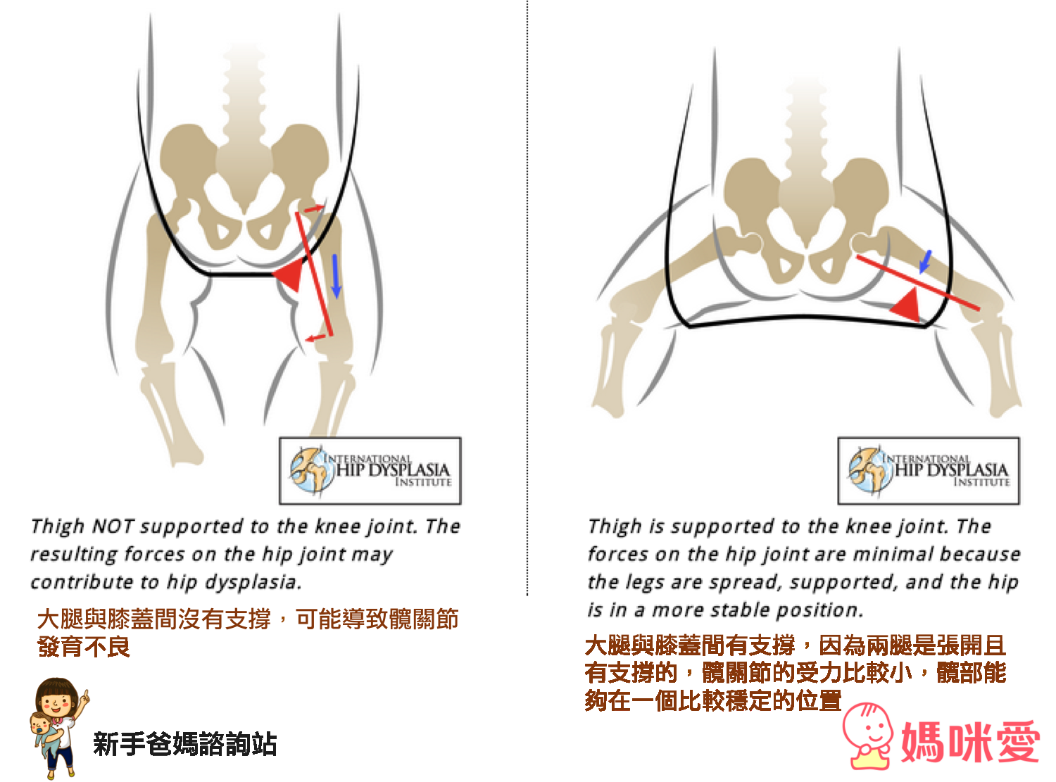 《美國Ergobaby》背巾原創款．有機款．運動款．功能款 / 口水巾 / 新生兒保護墊