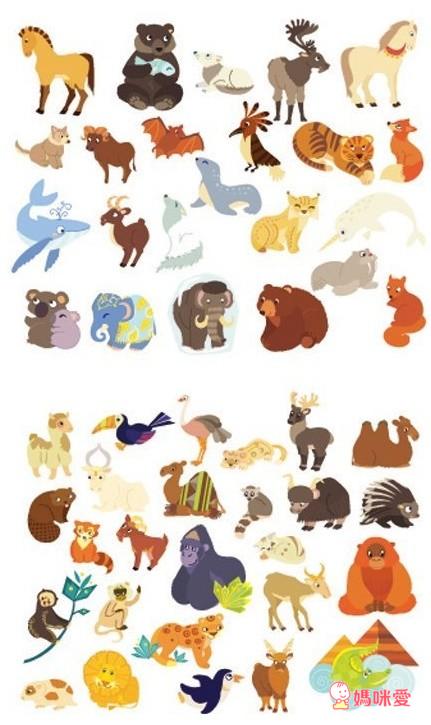 《法國Janod》環保安全好教具 磁鐵壁貼 / 木製玩具