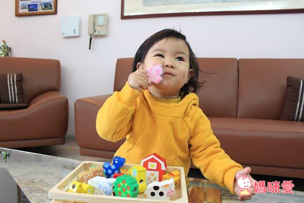 《美國》Alex小小建築師&小手穿線樂 /GIOTTO BEBE水洗蠟筆 / AMOS水性蠟筆