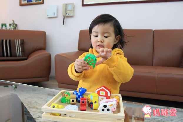 《美國》Alex小小建築師&小手穿線樂 /GIOTTO BEBE水洗蠟筆 / AMOS水性蠟筆