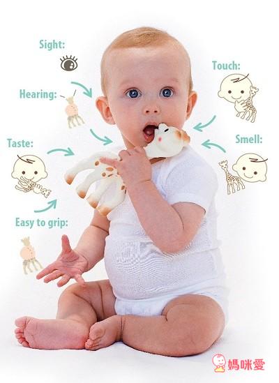 《小寶寶玩具大集合》費雪安撫海馬+蘇菲長頸鹿