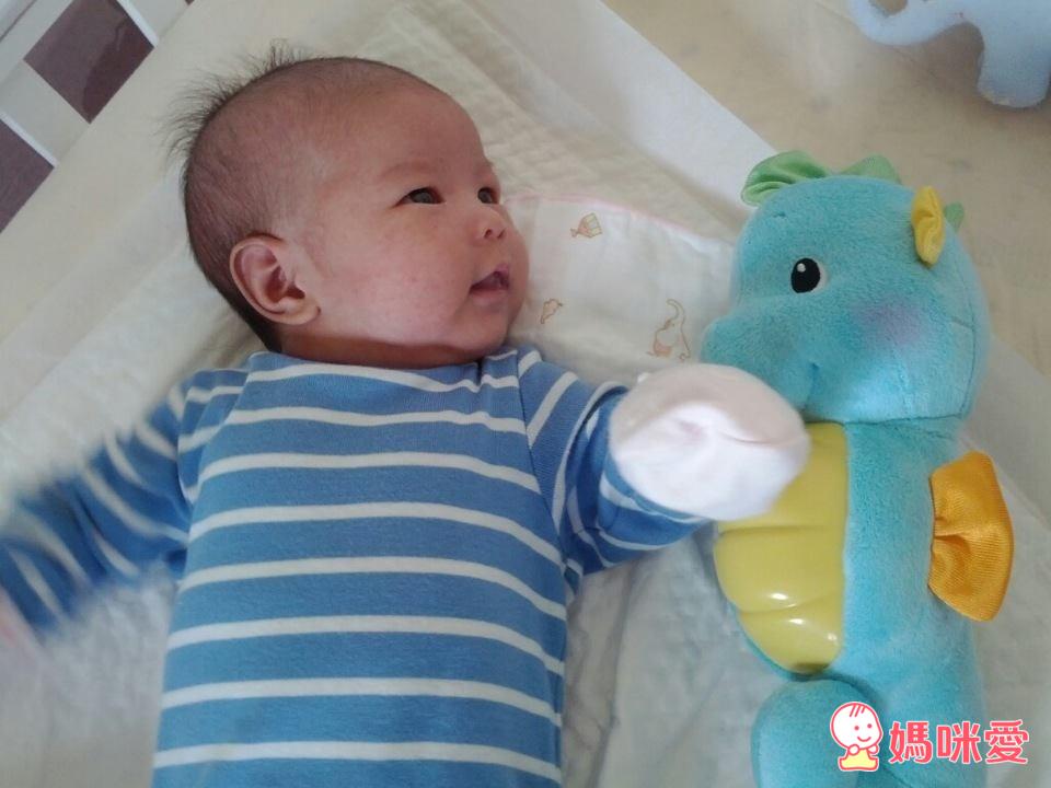 《小寶寶玩具大集合》費雪安撫海馬+蘇菲長頸鹿