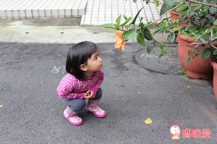 英國JoJo Maman Bebe》時尚繽紛。好搭配 兒童雨鞋