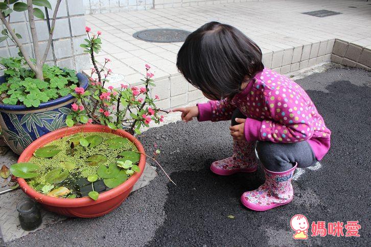 英國JoJo Maman Bebe》時尚繽紛。好搭配 兒童雨鞋