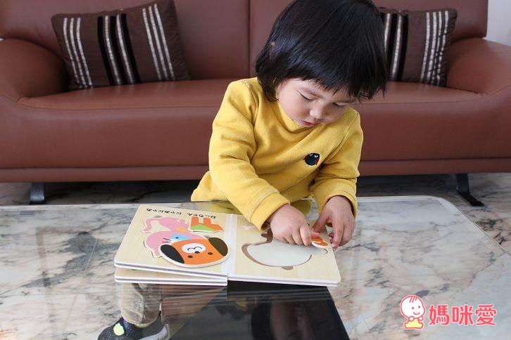 【快速預購團】日本木製拼圖書系列 (6/24(二) 23:59準時收團)