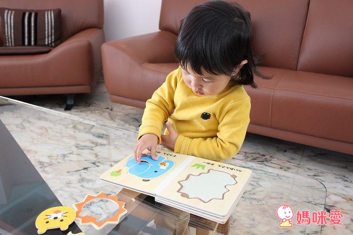 【快速預購團】日本木製拼圖書系列 (6/24(二) 23:59準時收團)