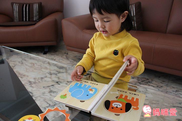 【快速預購團】日本木製拼圖書系列 (6/24(二) 23:59準時收團)