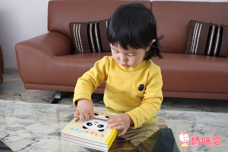 【快速預購團】日本木製拼圖書系列 (6/24(二) 23:59準時收團)