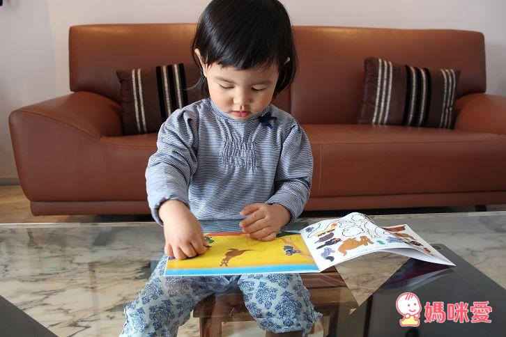 小貓專心玩貼紙的模樣