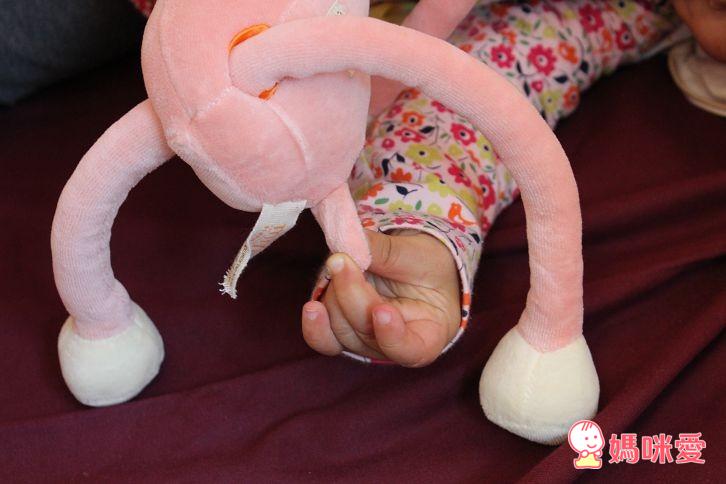 美國miYim 有機棉製成 故事書娃娃 / 瑜珈娃娃 / 手搖鈴 / 推車娃娃