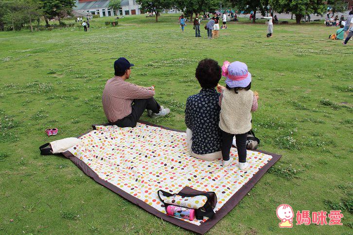 美國 Tuffo 野餐墊