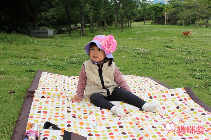 美國 Tuffo 野餐墊