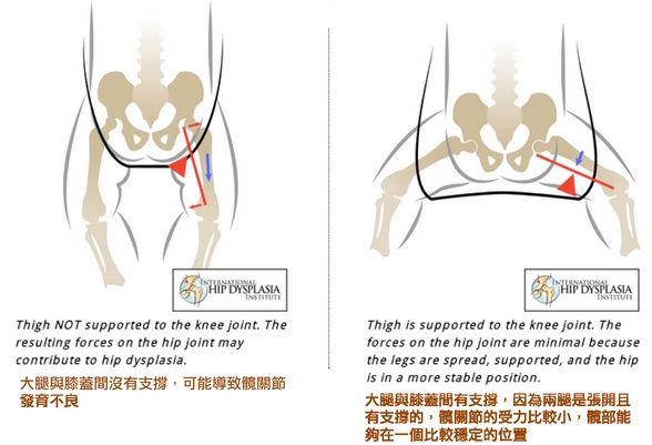 美國 Ergobaby背巾
