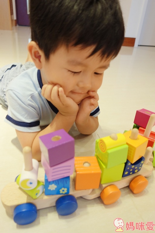 《德國 Hape》優質無毒木製玩具 積木筒 / 感統玩具 / 音樂玩具 / 立體拼圖