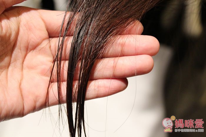 Greenvines 綠藤生機