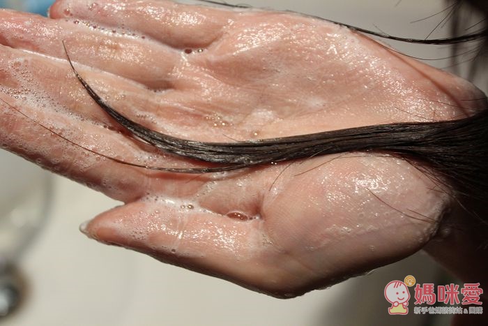 Greenvines 綠藤生機