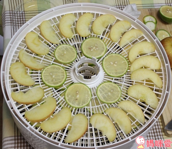 i LIFE 食物保鮮烘乾機