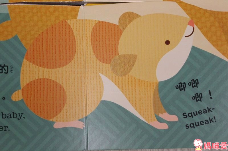 《小天下》精選有聲書、繪本 淘氣小鴿子 /  小寶貝與小動物 /你是我的寶貝 / 誰要跟我去散步