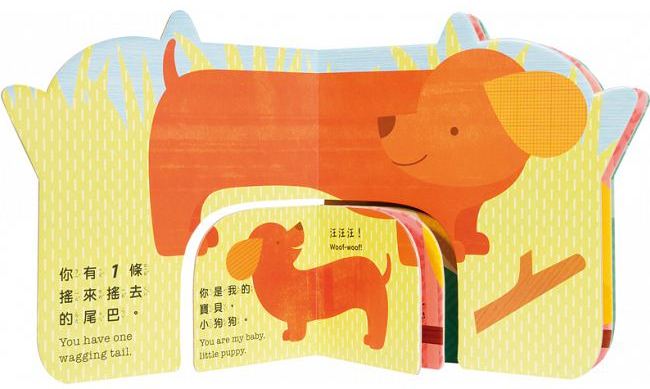 《小天下》精選有聲書、繪本 淘氣小鴿子 /  小寶貝與小動物 /你是我的寶貝 / 誰要跟我去散步