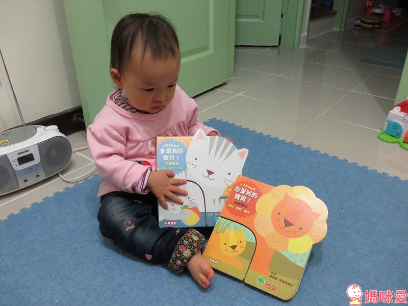 《小天下》精選有聲書、繪本 淘氣小鴿子 /  小寶貝與小動物 /你是我的寶貝 / 誰要跟我去散步