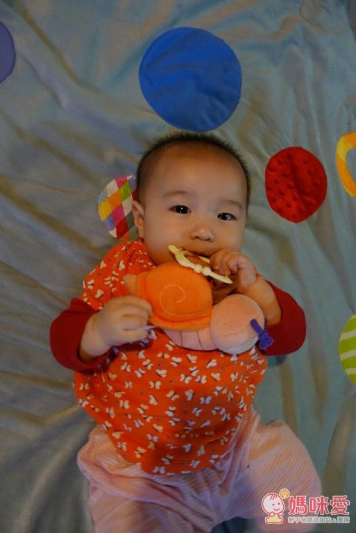 My Natural 吊掛隨行玩具