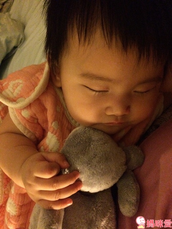 比利時 Dimpel - 經典FIFI狗-粉藍鼻 (40cm)