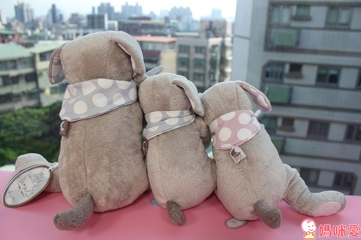 比利時 Dimpel - 經典FIFI狗-粉藍鼻 (40cm)