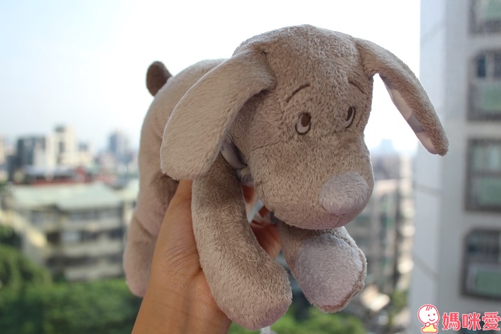 比利時 Dimpel - 經典FIFI狗-粉藍鼻 (40cm)