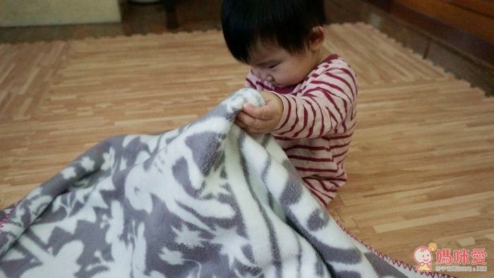 【瑞典Fabulous goose】北歐風100%純棉 / 有機棉 輕暖刷毛毯