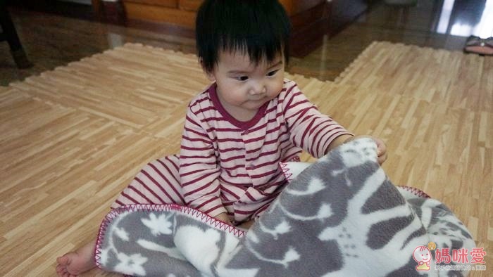 【瑞典Fabulous goose】北歐風100%純棉 / 有機棉 輕暖刷毛毯