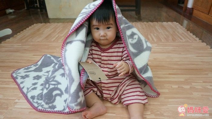 【瑞典Fabulous goose】北歐風100%純棉 / 有機棉 輕暖刷毛毯