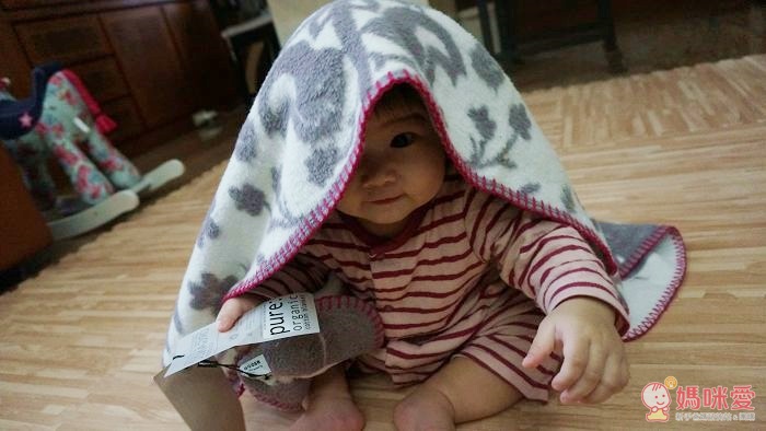 【瑞典Fabulous goose】北歐風100%純棉 / 有機棉 輕暖刷毛毯