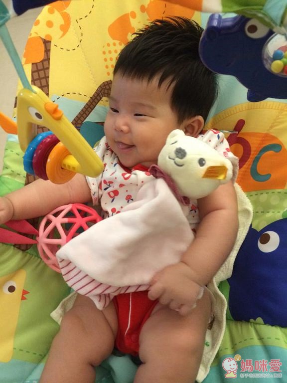 【德國Steiff】金耳扣安撫布偶 /【mamas&papas】夢幻碎花小木馬