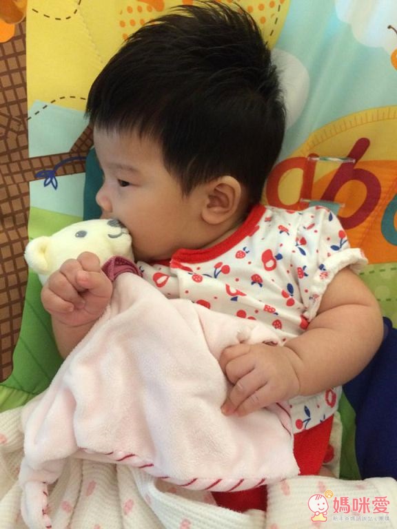 【德國Steiff】金耳扣安撫布偶 /【mamas&papas】夢幻碎花小木馬