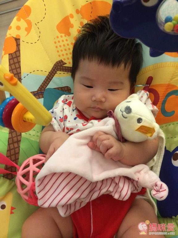 【德國Steiff】金耳扣安撫布偶 /【mamas&papas】夢幻碎花小木馬