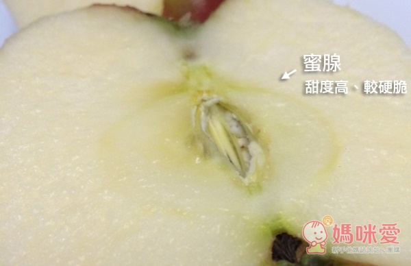 日本空運♥特選青森縣蜜蘋果 いかりりんご