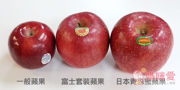 日本空運♥特選青森縣蜜蘋果 いかりりんご