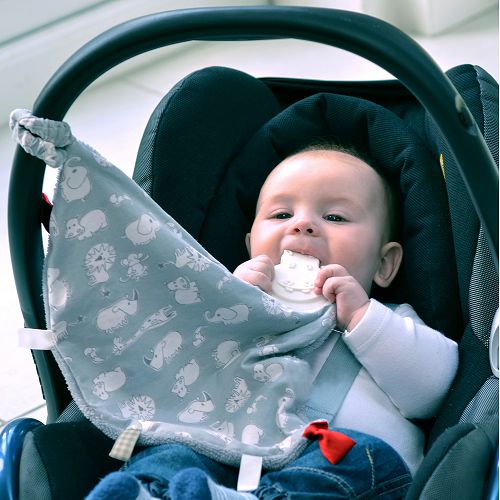 Cheeky Chompers 咬咬巾