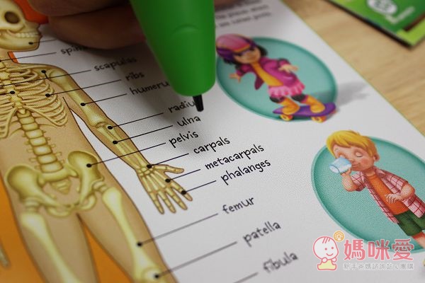 《美國Leap frog》全英幼兒電子閱讀小狗 / 點讀筆