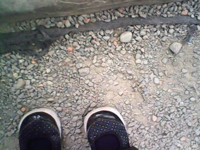 【預購團】麵包超人玩具團》兒童相機 / 捕蟲磁鐵書 / 貼紙書 / 玩具收納箱 /超大彈力球