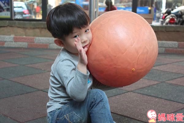 【預購團】麵包超人玩具團》兒童相機 / 捕蟲磁鐵書 / 貼紙書 / 玩具收納箱 /超大彈力球