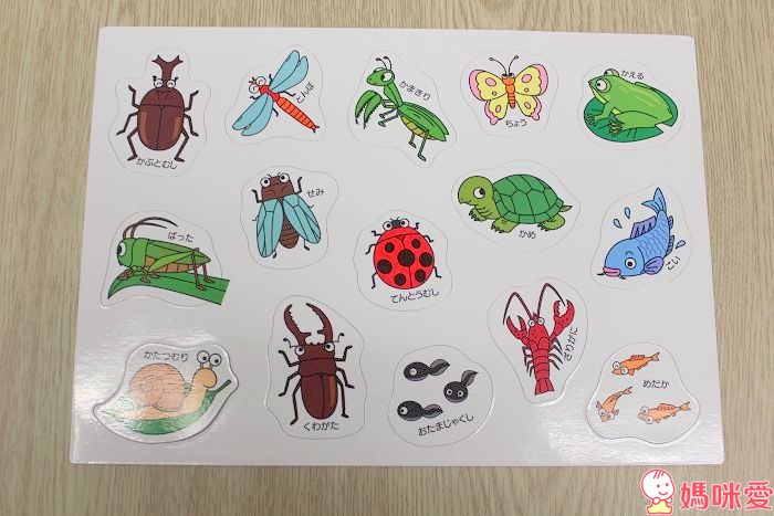 【預購團】麵包超人玩具團》兒童相機 / 捕蟲磁鐵書 / 貼紙書 / 玩具收納箱 /超大彈力球