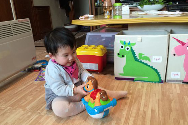 《美國Leap Frog》互動玩具 閱讀小狗 / 創意小相機 / 歡樂學習農場 / 扮家家酒組