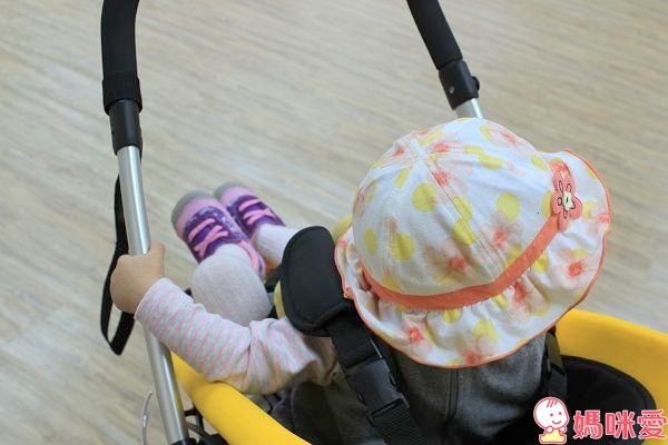 【Phil&Teds】 smart高景觀雙向推車 隨心所欲變換方向 歐系大輪平穩好推