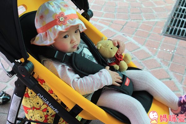 【Phil&Teds】 smart高景觀雙向推車 隨心所欲變換方向 歐系大輪平穩好推