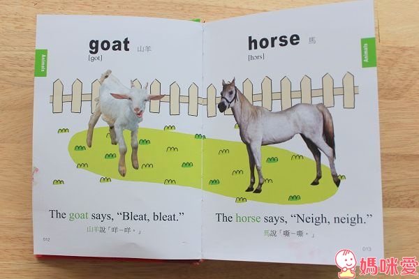 台灣麥克出版「寶寶的第一本圖畫字典」