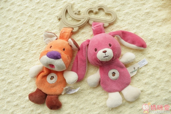 My Natural 兩用環保固齒器