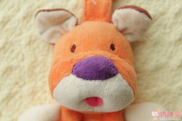 My Natural 兩用環保固齒器