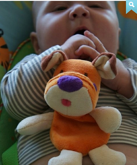 My Natural 兩用環保固齒器