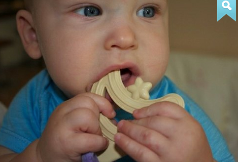 My Natural 兩用環保固齒器